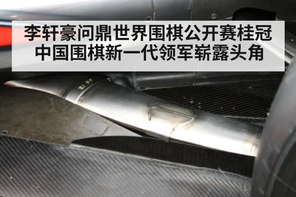 李轩豪问鼎世界围棋公开赛桂冠 中国围棋新一代领军崭露头角